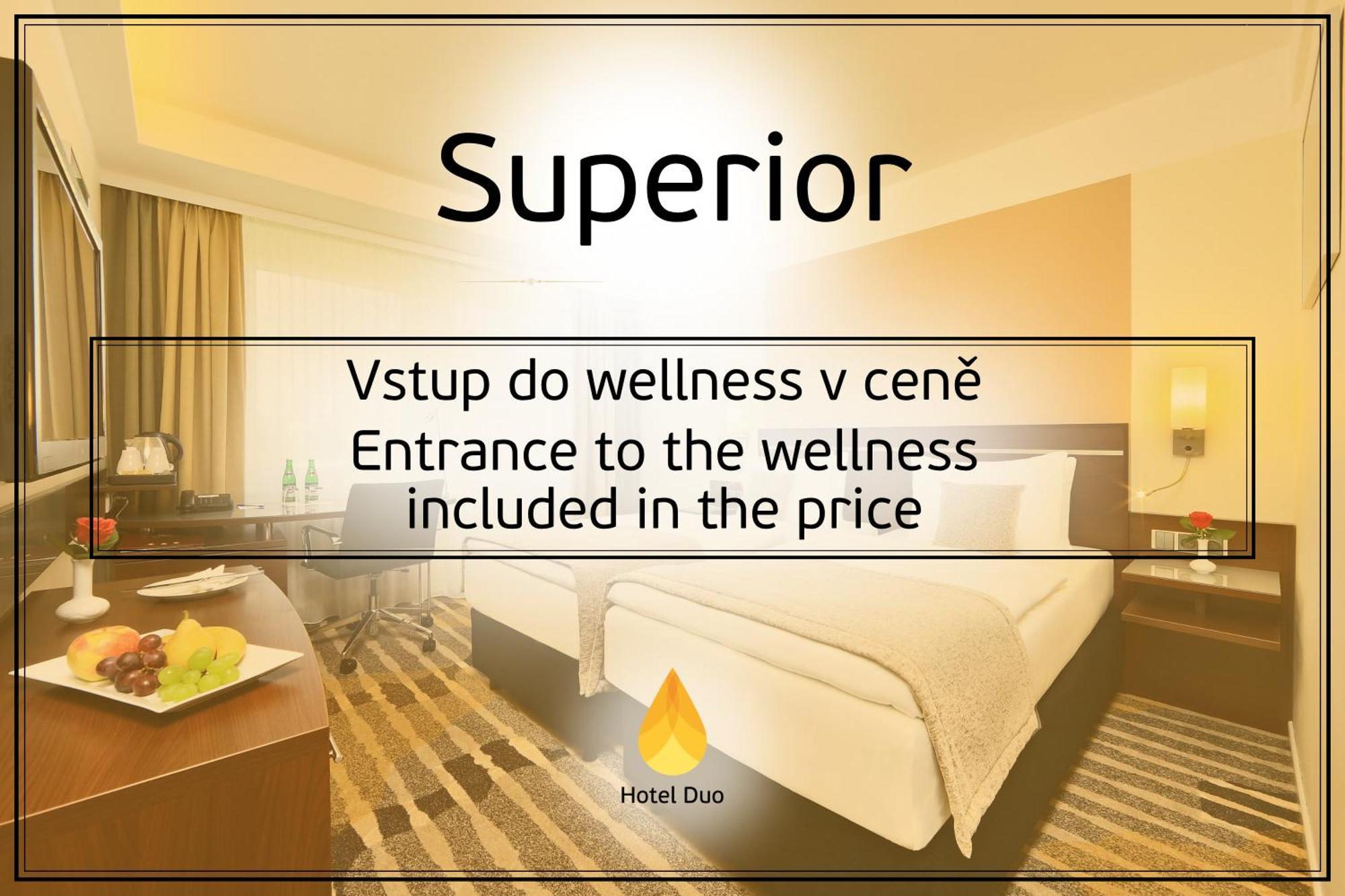 Superior Double or Twin Room Wellness Access